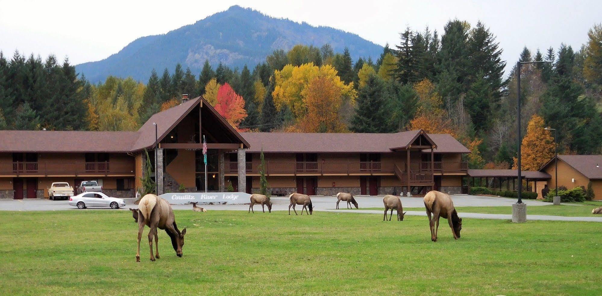 Cowlitz River Lodge Паквуд Экстерьер фото